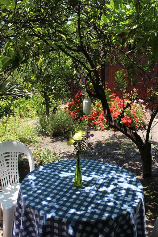 Alojamiento Rural Casa Quinta Peumayen Isla de Maipo Exterior foto